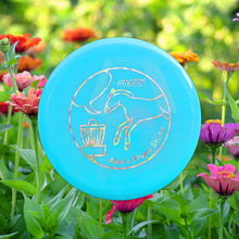 Load image into Gallery viewer, Innova Disc Golf Disc (Putter + Approach)