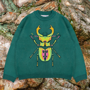 Beetle Sweater