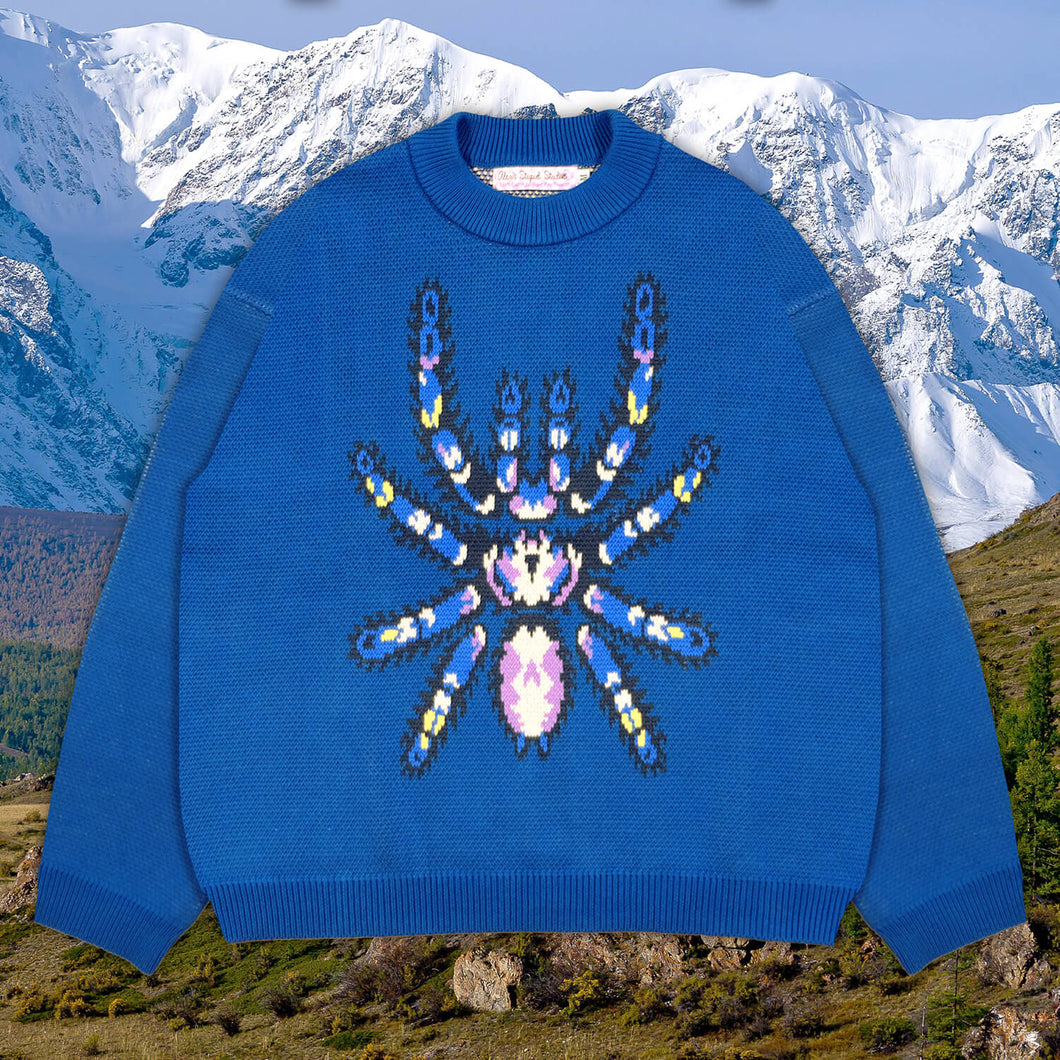 Tarantula Sweater – Alex's Stupid Studio